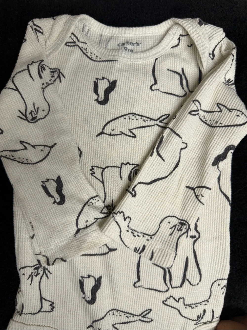 Carter's 2 piece bodysuit set